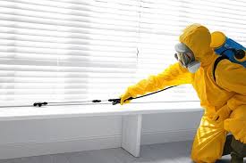 Professional Pest control in Ak Chin Village, AZ